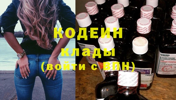 гашик Верея