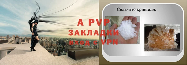 гашик Верея