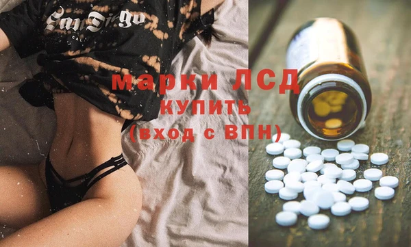 стаф Бугульма