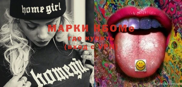 гашик Верея