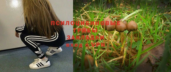 гашик Верея