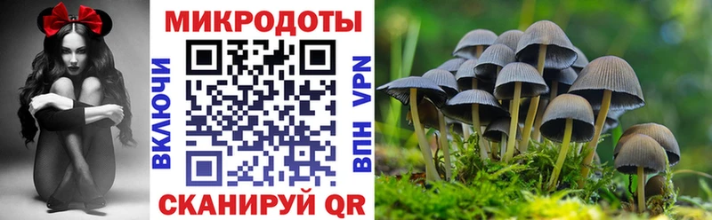 где можно купить наркотик  Раменское  Галлюциногенные грибы Magic Shrooms 